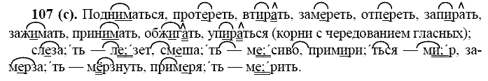 Базовый уровень, 10 класс, Власенков А.И., Рыбченкова Л.М., 2009-2014, задание: 107 (с)