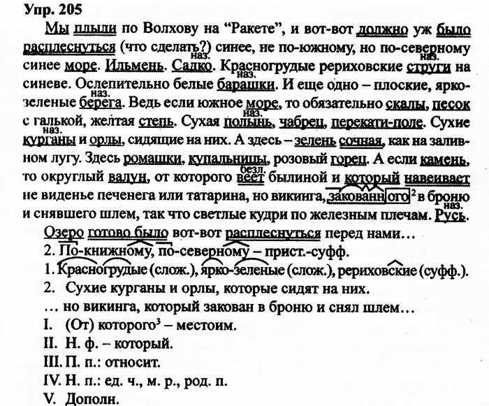 Русский язык, 10 класс, Дейкина, Пахнова, 2009, задание: 205