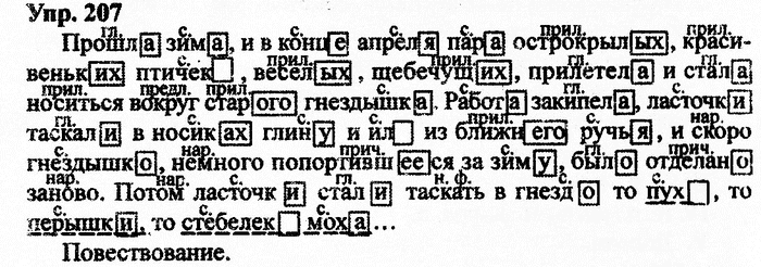 Русский язык, 10 класс, Дейкина, Пахнова, 2009, задание: 207