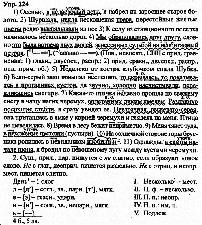 Русский язык, 10 класс, Дейкина, Пахнова, 2009, задание: 224
