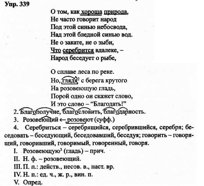 Русский язык, 10 класс, Дейкина, Пахнова, 2009, задание: 339