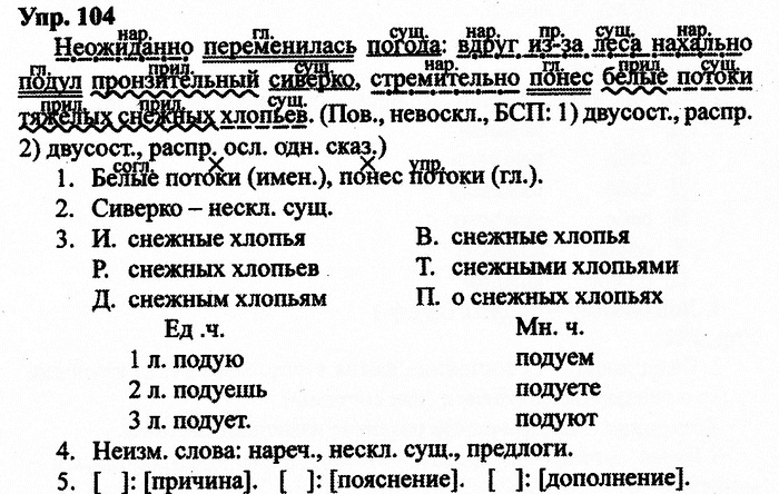 Русский язык, 10 класс, Дейкина, Пахнова, 2009, задание: 104