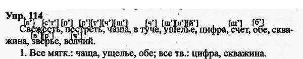 Русский язык, 10 класс, Дейкина, Пахнова, 2009, задание: 114