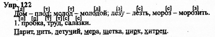 Русский язык, 11 класс, Дейкина, Пахнова, 2009, задание: 122