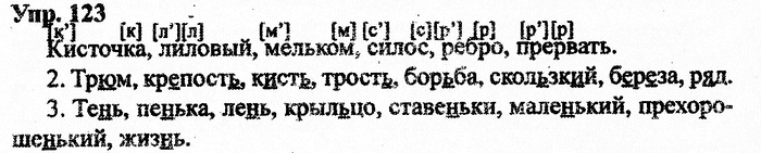 Русский язык, 11 класс, Дейкина, Пахнова, 2009, задание: 123