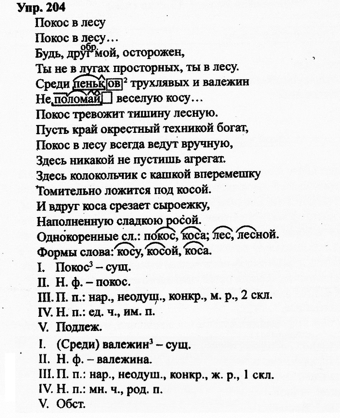 Русский язык, 11 класс, Дейкина, Пахнова, 2009, задание: 204