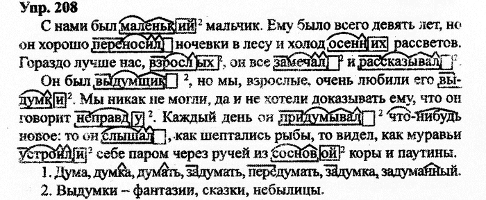 Русский язык, 11 класс, Дейкина, Пахнова, 2009, задание: 208