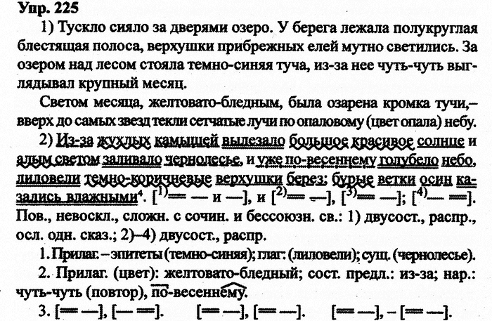 Русский язык, 11 класс, Дейкина, Пахнова, 2009, задание: 225