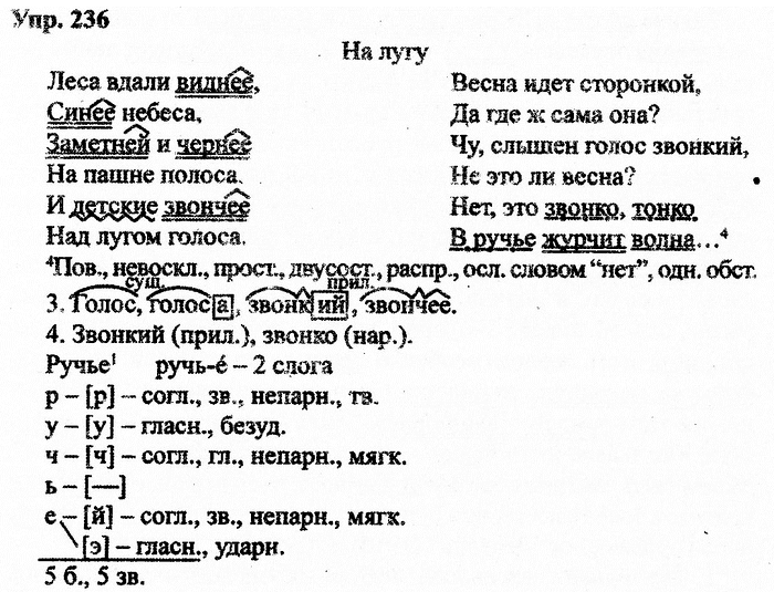 Русский язык, 11 класс, Дейкина, Пахнова, 2009, задание: 236