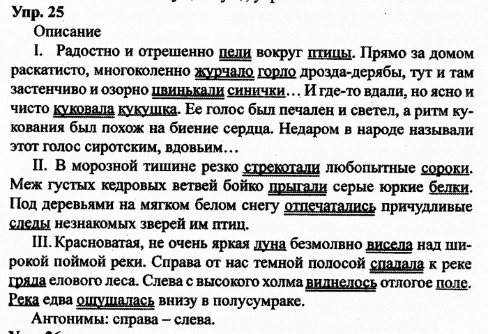 Русский язык, 11 класс, Дейкина, Пахнова, 2009, задание: 25