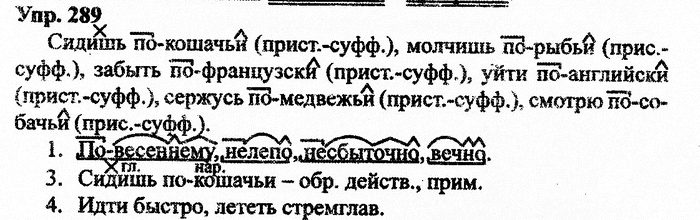 Русский язык, 11 класс, Дейкина, Пахнова, 2009, задание: 289