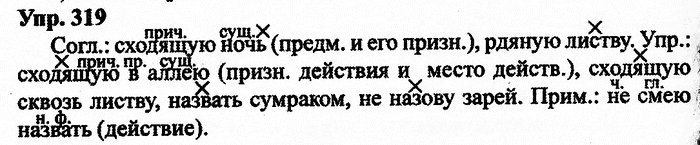 Русский язык, 11 класс, Дейкина, Пахнова, 2009, задание: 319
