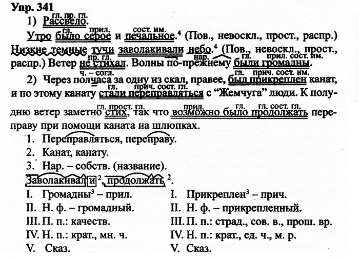 Русский язык, 11 класс, Дейкина, Пахнова, 2009, задание: 341
