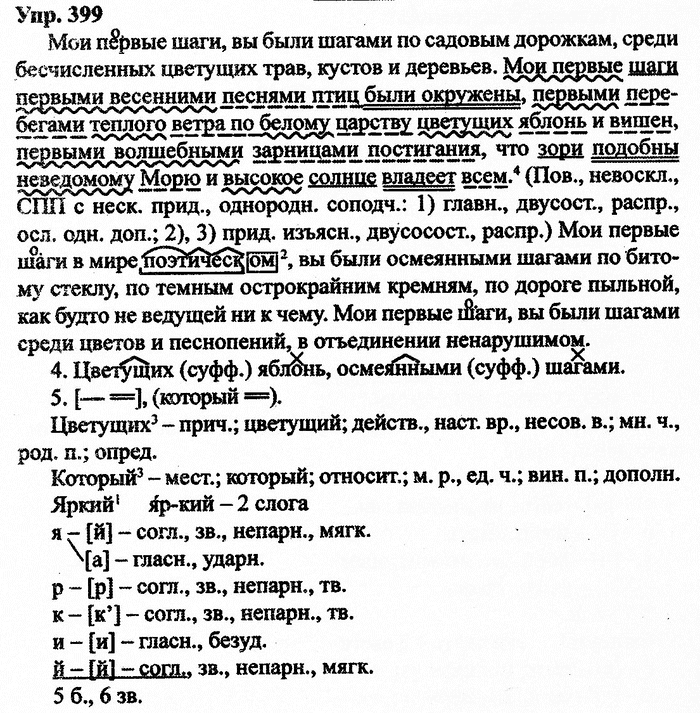 Русский язык, 11 класс, Дейкина, Пахнова, 2009, задание: 399
