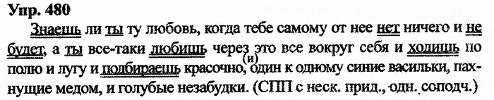 Русский язык, 11 класс, Дейкина, Пахнова, 2009, задание: 480