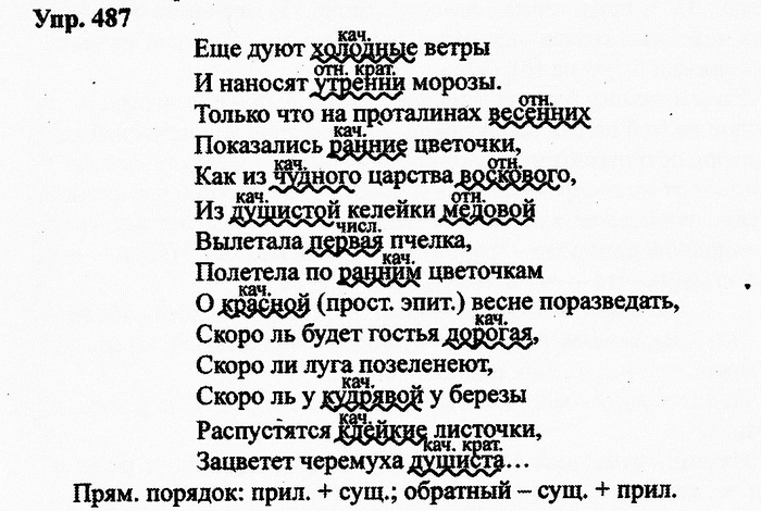 Русский язык, 11 класс, Дейкина, Пахнова, 2009, задание: 487