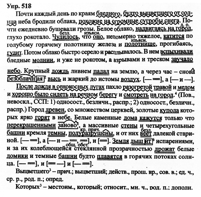 Русский язык, 11 класс, Дейкина, Пахнова, 2009, задание: 518