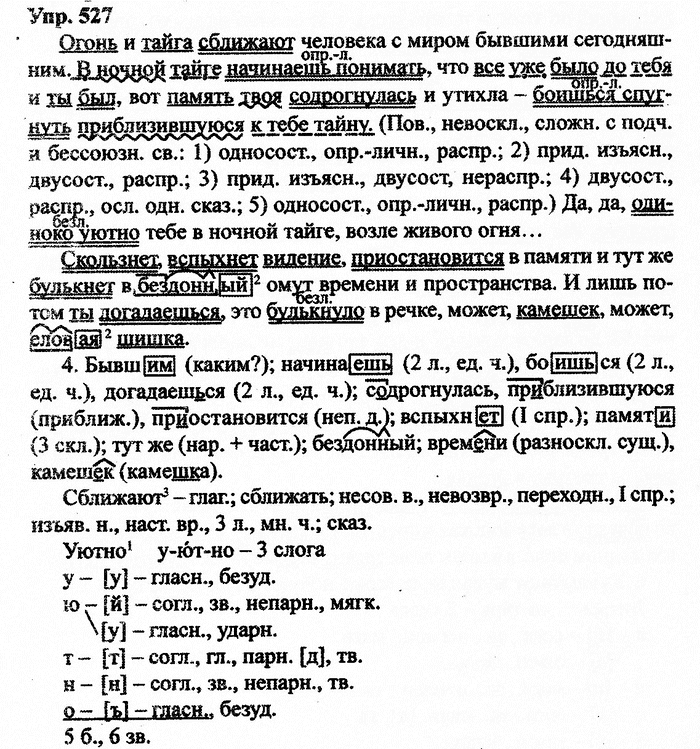 Русский язык, 11 класс, Дейкина, Пахнова, 2009, задание: 527