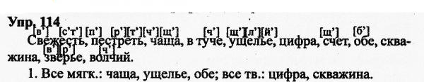 Русский язык, 11 класс, Дейкина, Пахнова, 2009, задание: 114