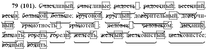 Русский язык, 11 класс, Власенков, Рыбченков, 2009-2014, задание: 79 (101)