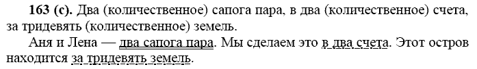 Русский язык, 11 класс, Власенков, Рыбченков, 2009-2014, задание: 163 (с)