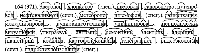 Русский язык, 11 класс, Власенков, Рыбченков, 2009-2014, задание: 164 (371)