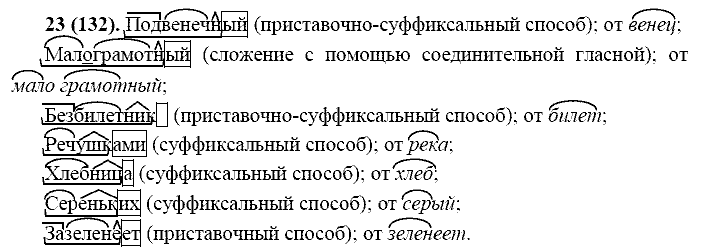 Русский язык, 11 класс, Власенков, Рыбченков, 2009-2014, задание: 23 (132)