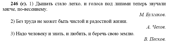 Русский язык, 11 класс, Власенков, Рыбченков, 2009-2014, задание: 246 (с)