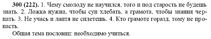 Русский язык, 11 класс, Власенков, Рыбченков, 2009-2014, задание: 300 (222)