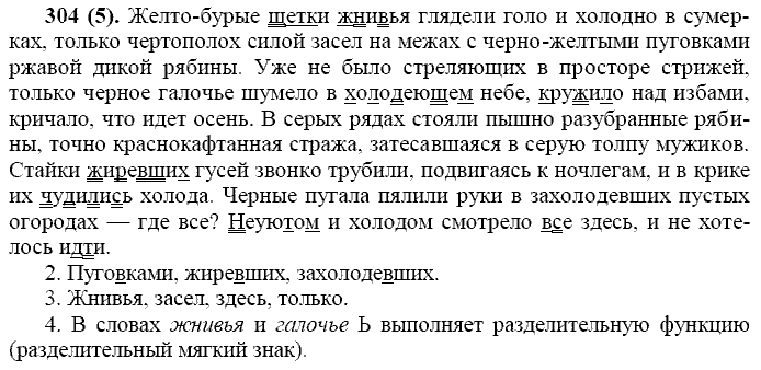 Русский язык, 11 класс, Власенков, Рыбченков, 2009-2014, задание: 304 (5)