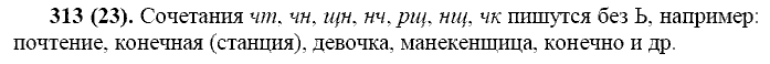 Русский язык, 11 класс, Власенков, Рыбченков, 2009-2014, задание: 313 (23)