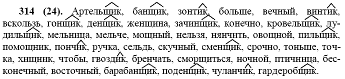 Русский язык, 11 класс, Власенков, Рыбченков, 2009-2014, задание: 314 (24)