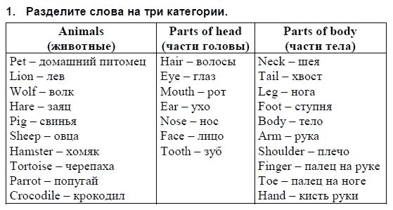 Английский язык, 3 класс, И.Н. Верещагина, 2006-2012, Уроки 41–56 Задание: 1