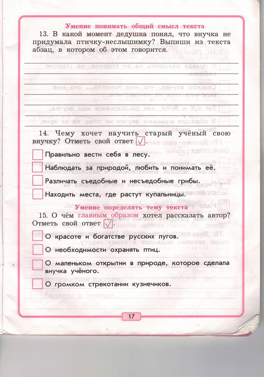 Рабочая тетрадь, 3 класс, Р.Н. Бунеев, Е.В. Бунеева, 2014, задание: стр. 17