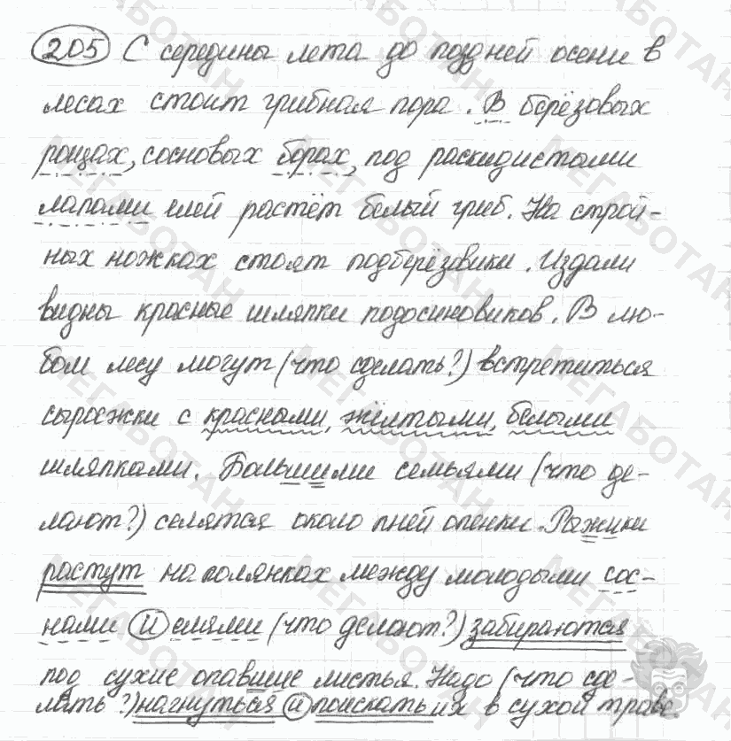 Старое издание, 5 класс, Ладыженская, 2000, задание: 205