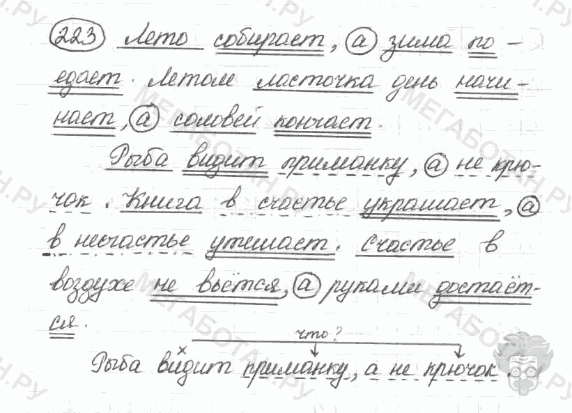 Старое издание, 5 класс, Ладыженская, 2000, задание: 223