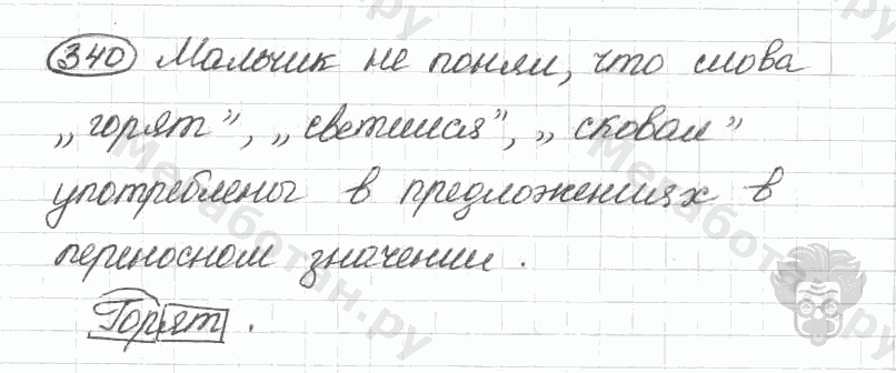 Старое издание, 5 класс, Ладыженская, 2000, задание: 340