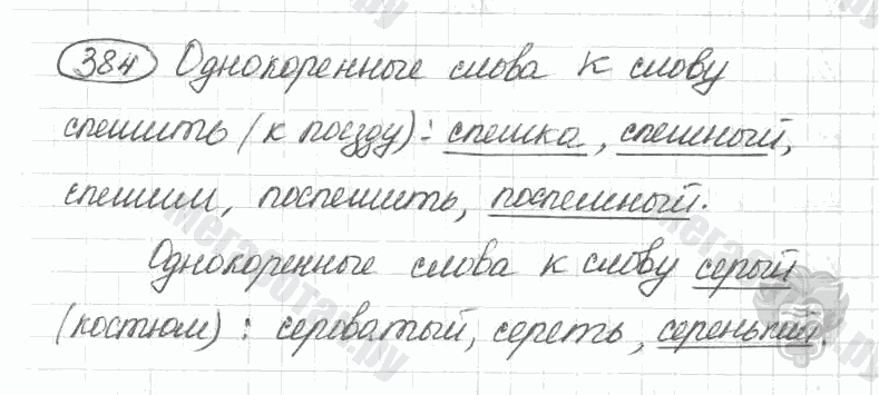 Старое издание, 5 класс, Ладыженская, 2000, задание: 384