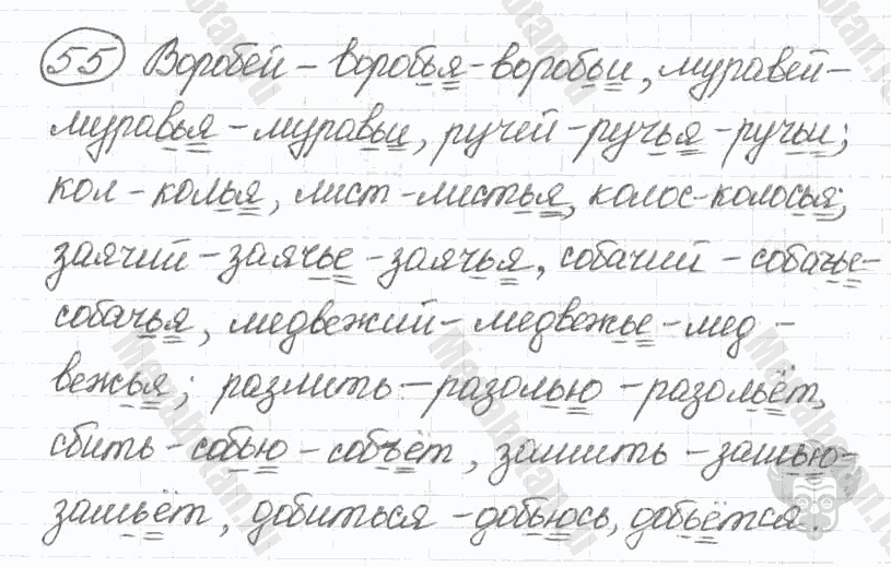 Старое издание, 5 класс, Ладыженская, 2000, задание: 55