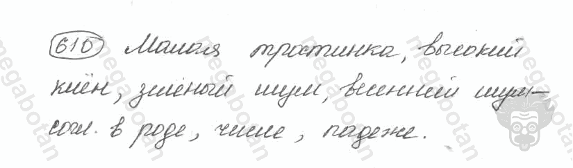 Старое издание, 5 класс, Ладыженская, 2000, задание: 610