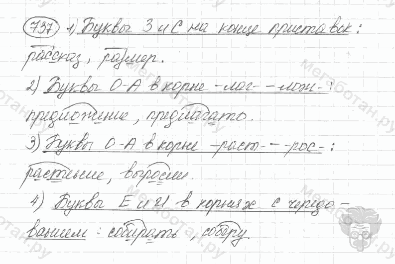 Старое издание, 5 класс, Ладыженская, 2000, задание: 737