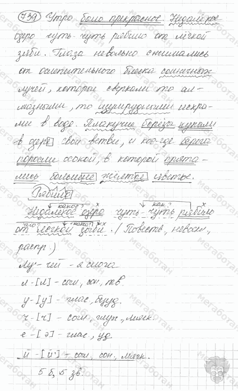 Старое издание, 5 класс, Ладыженская, 2000, задание: 739