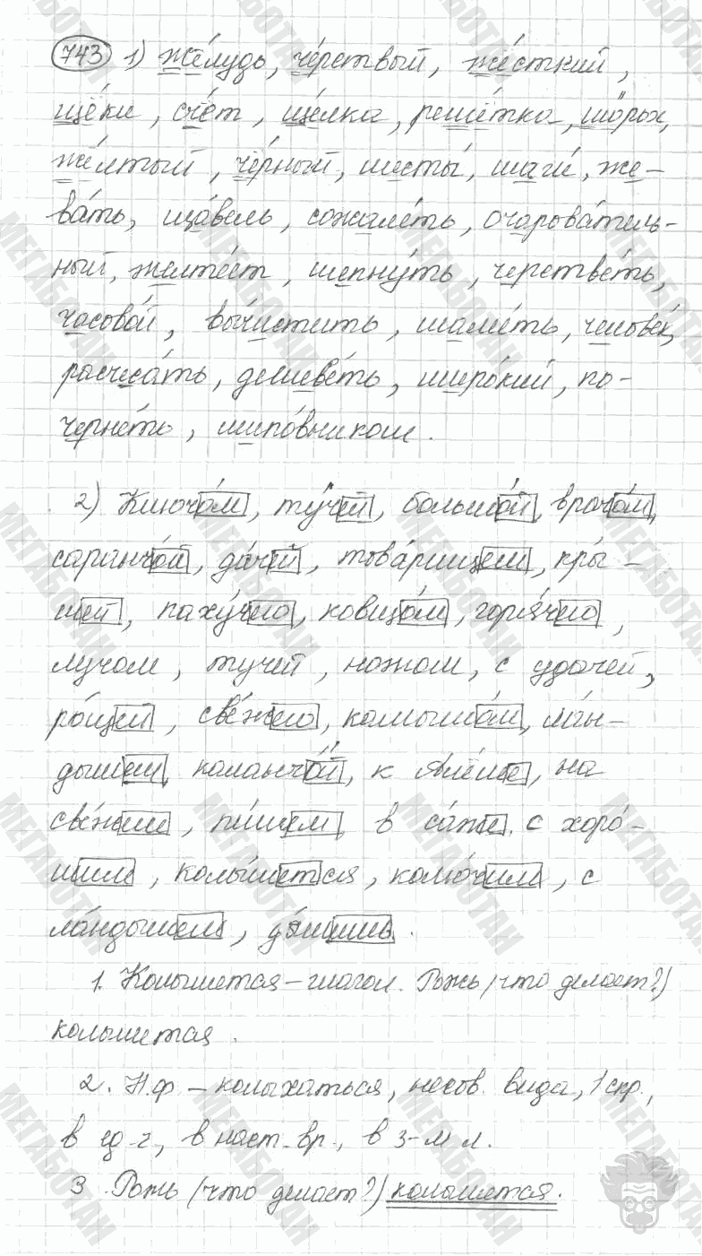 Старое издание, 5 класс, Ладыженская, 2000, задание: 743