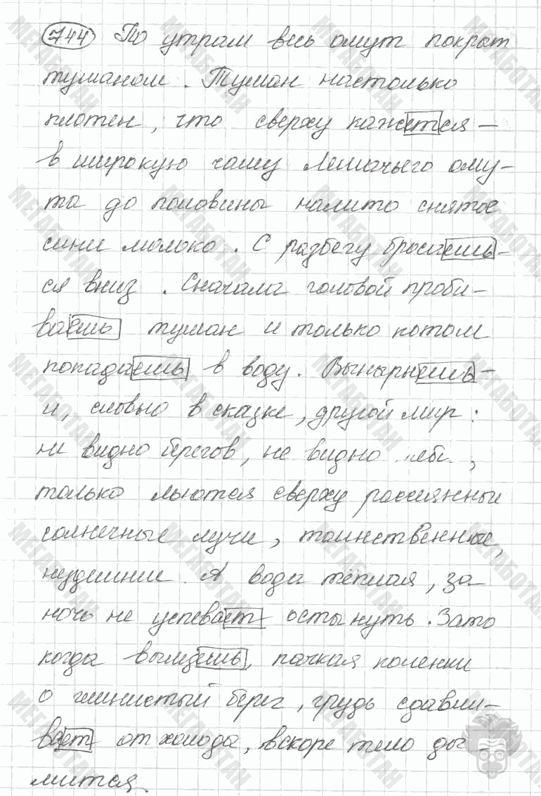 Старое издание, 5 класс, Ладыженская, 2000, задание: 744