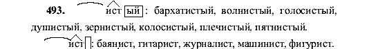 Русский язык, 5 класс, М.М. Разумовская, 2001, задание: 493