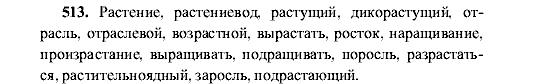 Русский язык, 5 класс, М.М. Разумовская, 2001, задание: 513