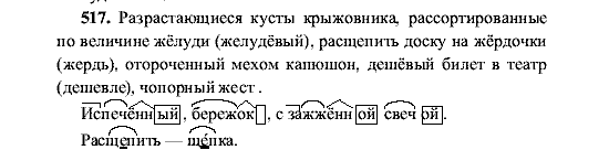 Русский язык, 5 класс, М.М. Разумовская, 2001, задание: 517