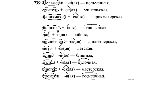 Русский язык, 5 класс, М.М. Разумовская, 2001, задание: 739