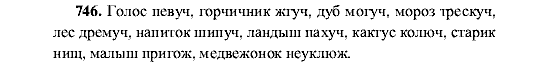 Русский язык, 5 класс, М.М. Разумовская, 2001, задание: 746