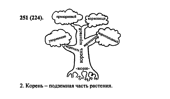Русский язык, 5 класс, М.М. Разумовская, 2004 / 2009, задание: 251 (224)